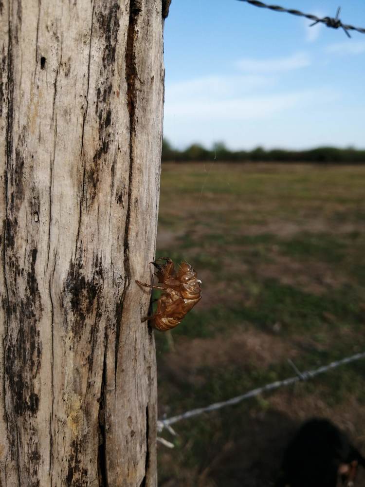 Dejando huella.