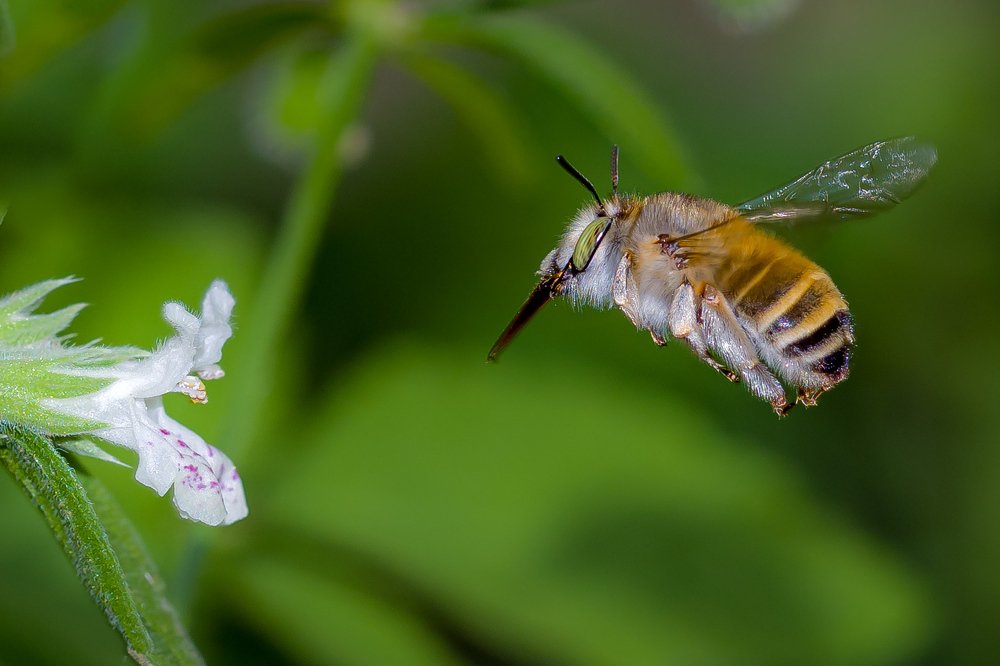 Photograph by Vahid Yavari