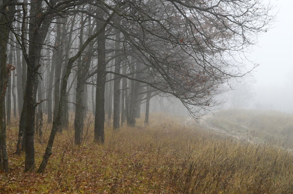 Photograph by Татьяна Калугина