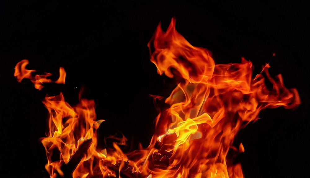 Photo #4644248