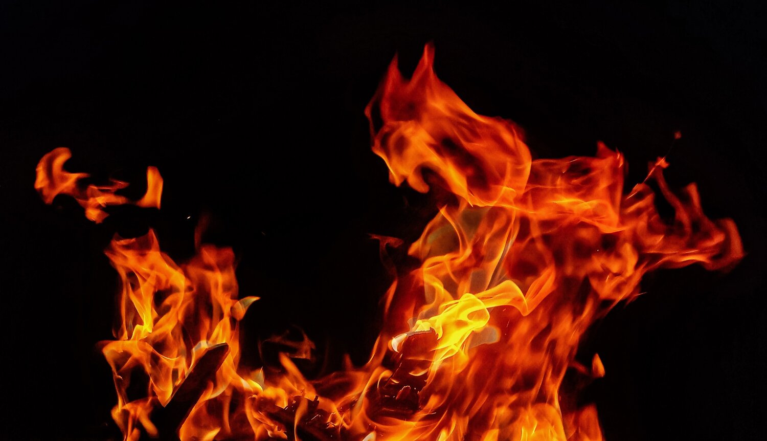 Photo #4644248