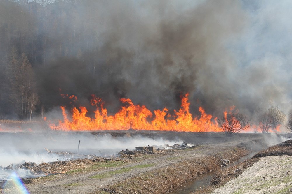 Photograph by sergio maritan