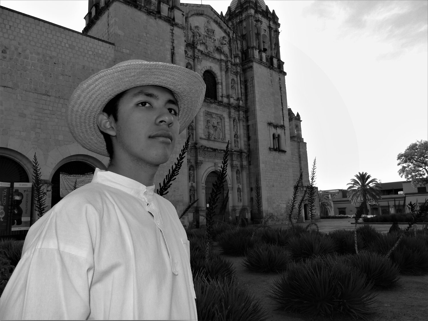 mirada mixteca