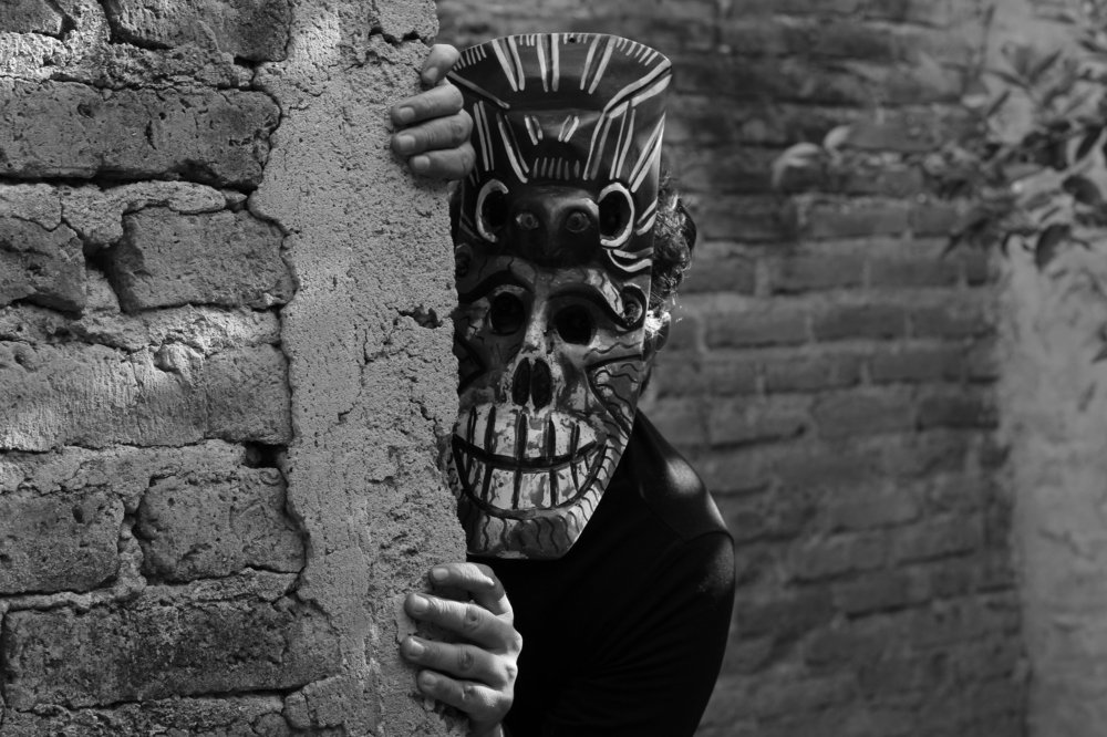 Acechando a su presa