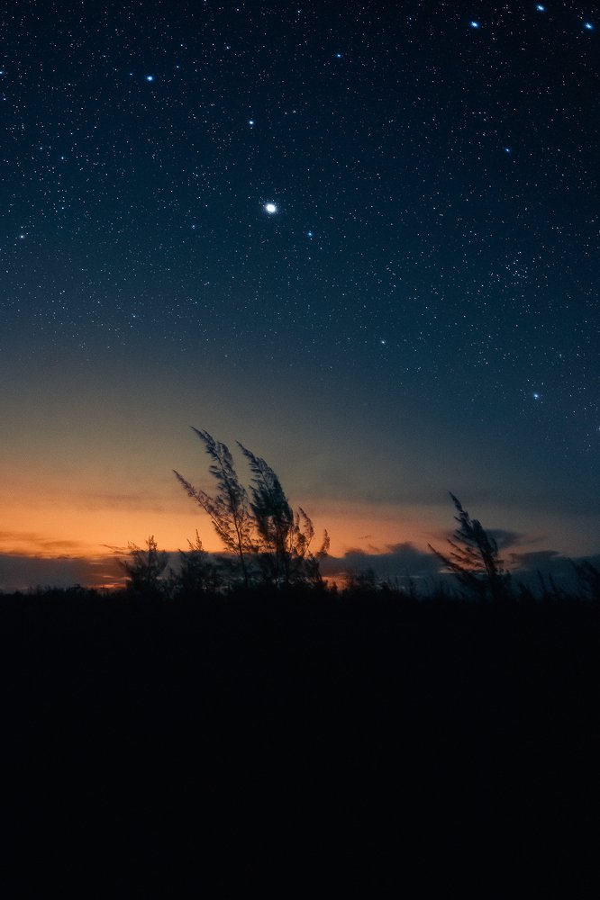 Photograph by JUNIOR SPÍNOLA