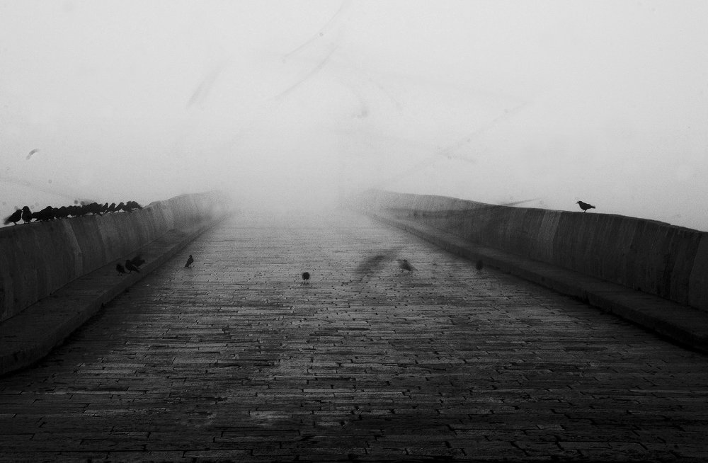 Photograph by Kemal ERGİN