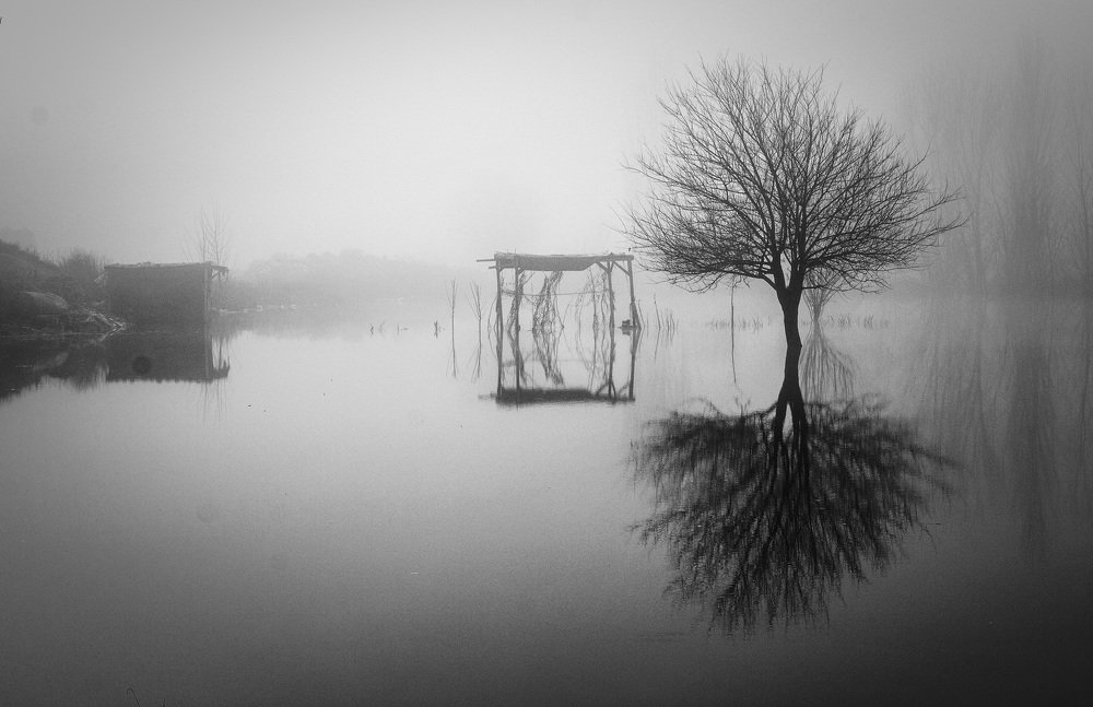 Photograph by Kemal ERGİN