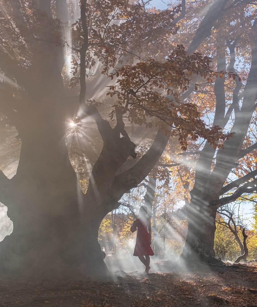 Photograph by Юрий Чернов