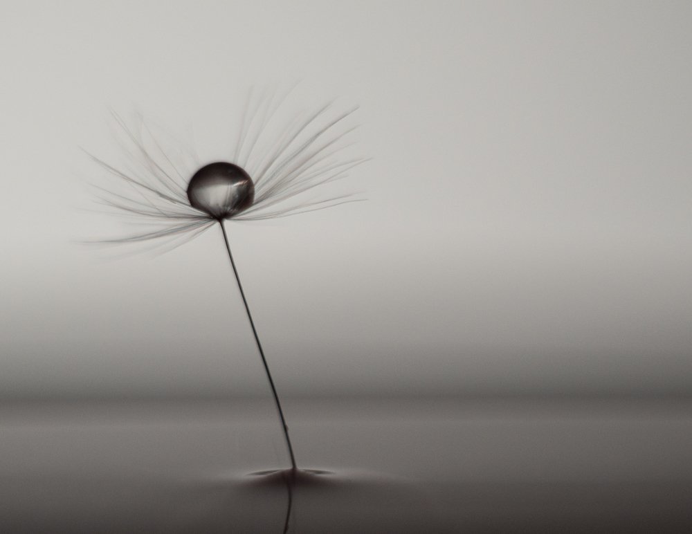 Photograph by Юрий Чернов