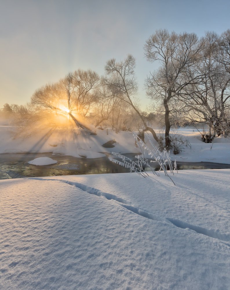 Фотография автора Николай Андреев