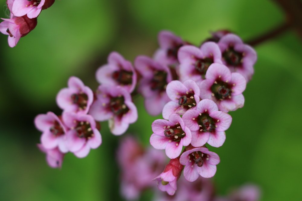 Photograph by Сергей Яковлев