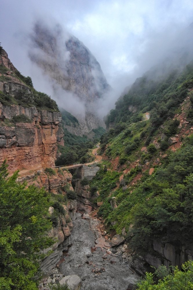 Foggy Canyon