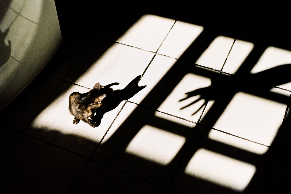 Photograph by David Arroyo