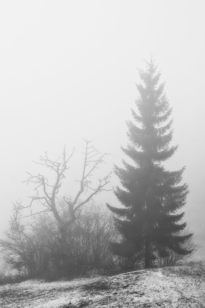 Photograph by Павел Лукашин