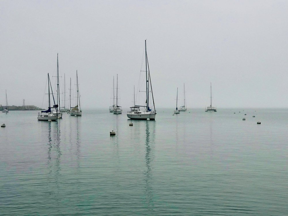 Photograph by Leonor