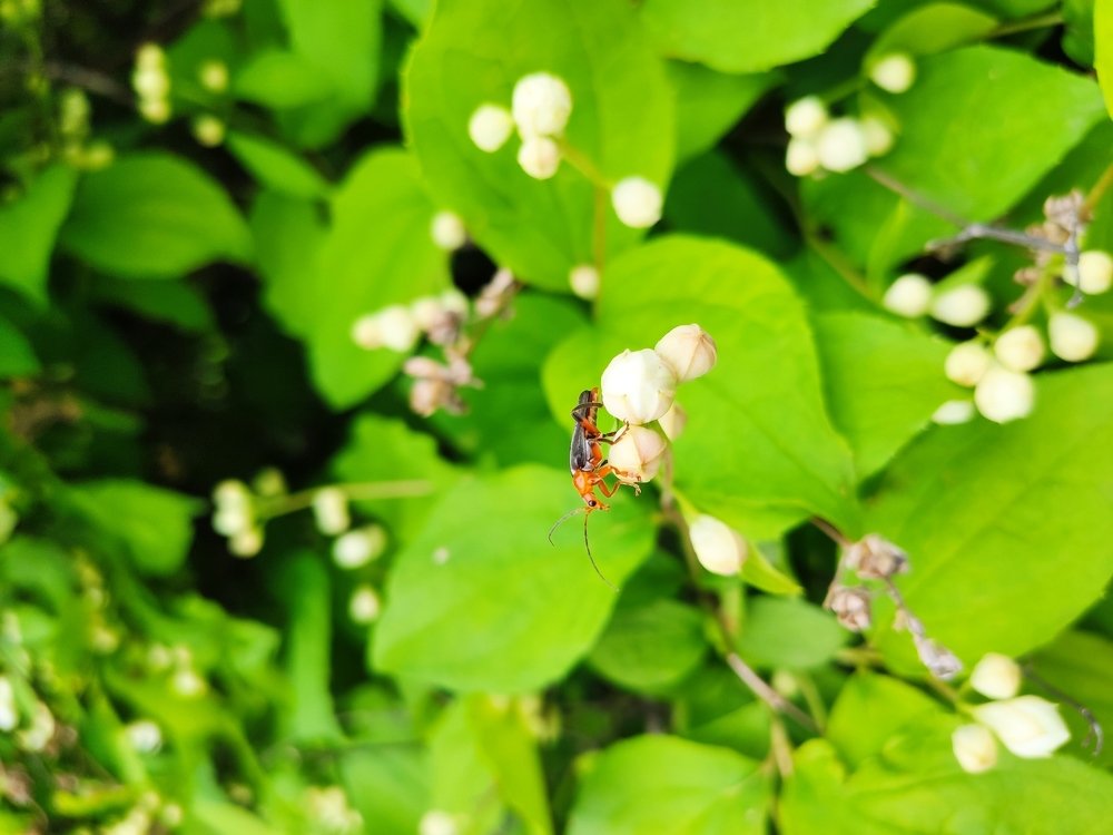 Photograph by Евгений Артемьев