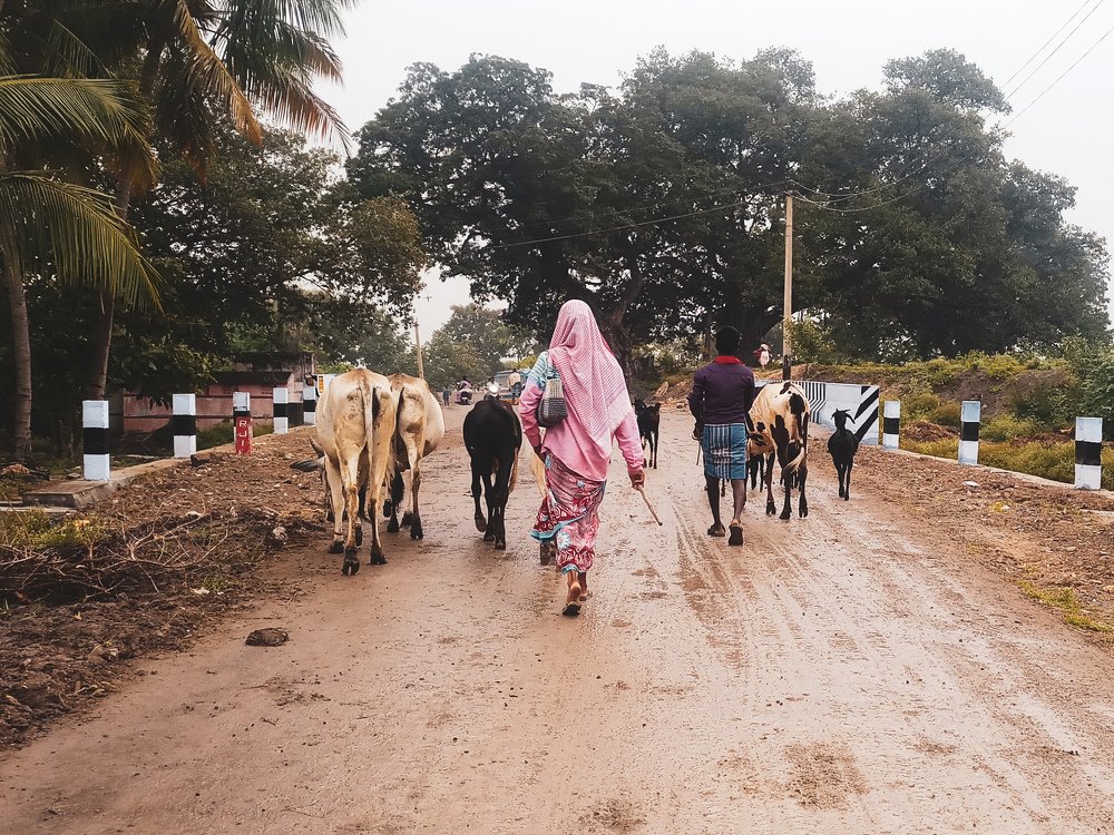 Photograph by Roshini  Govindarajan