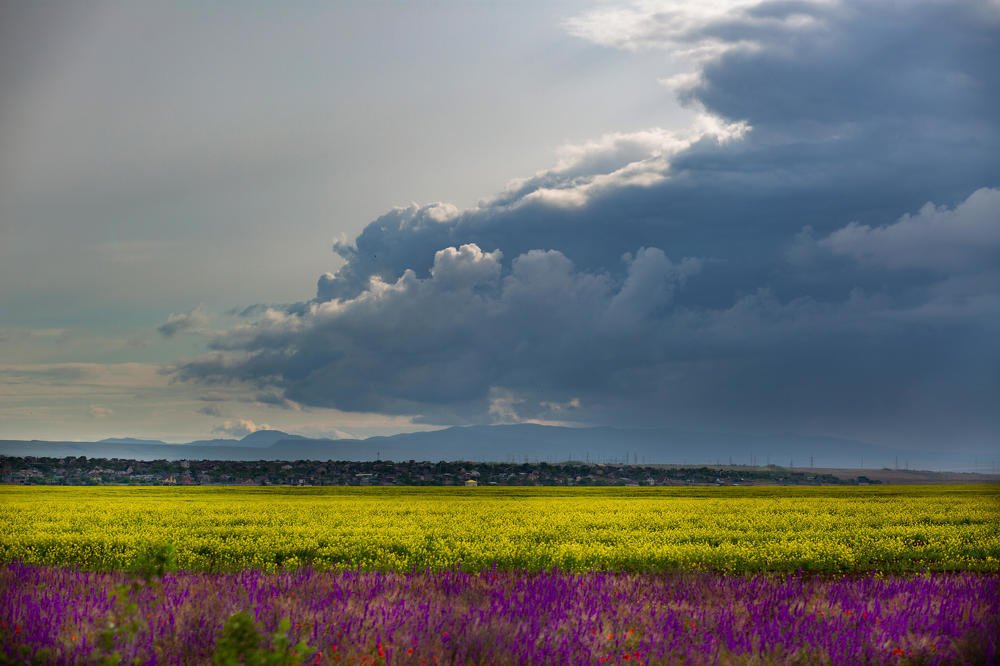 Photograph by Наталья Булгакова