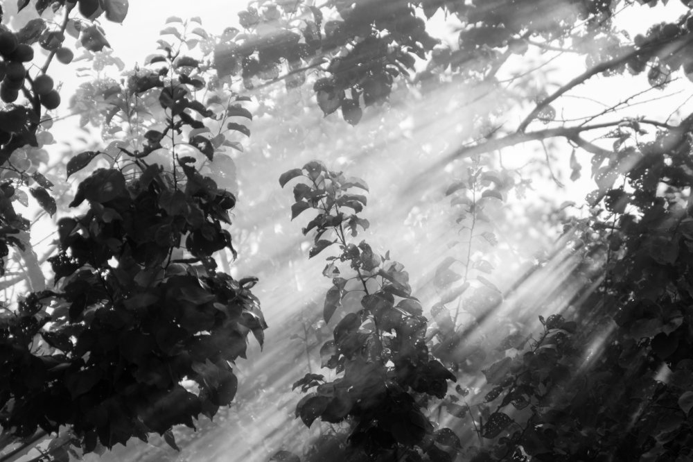 Photograph by Pucs Fongabe