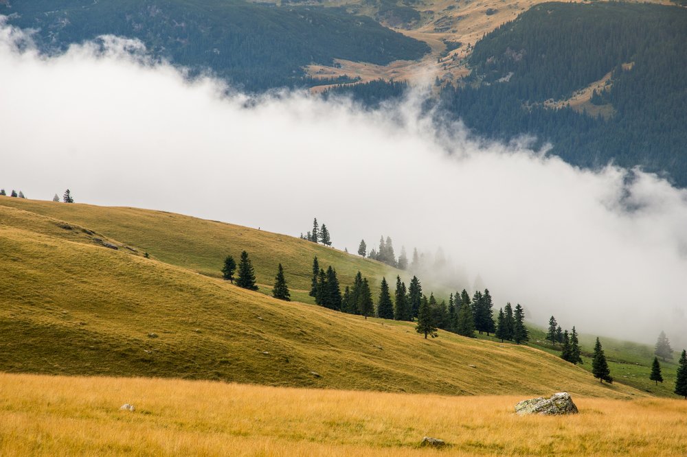 Photograph by Pucs Fongabe