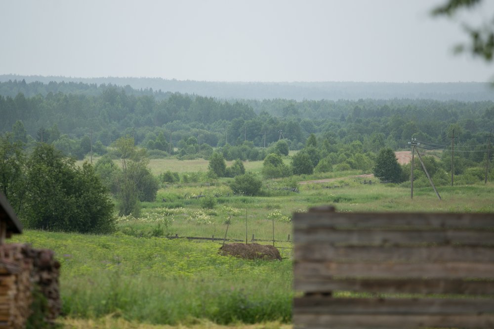 Photograph by Надежда Заломаева