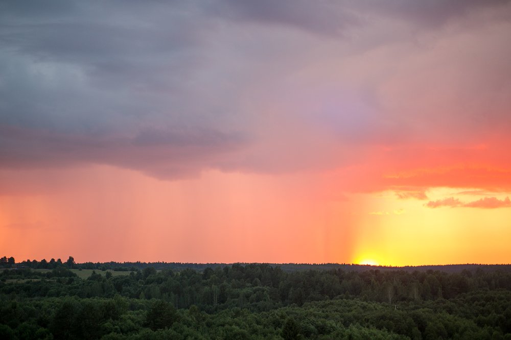 Photograph by Надежда Заломаева