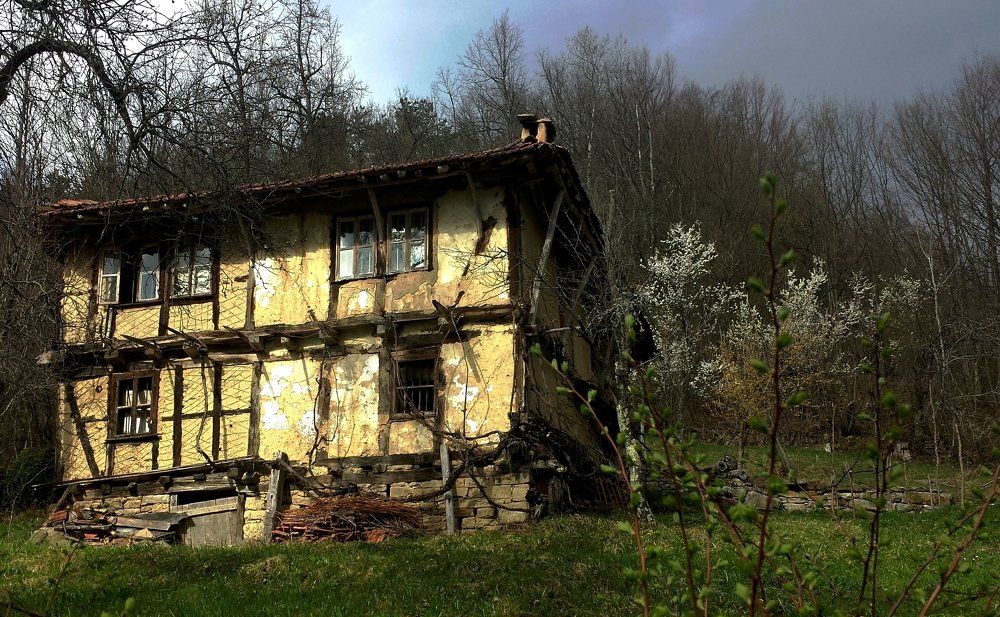 Photograph by Dimitar Stoev