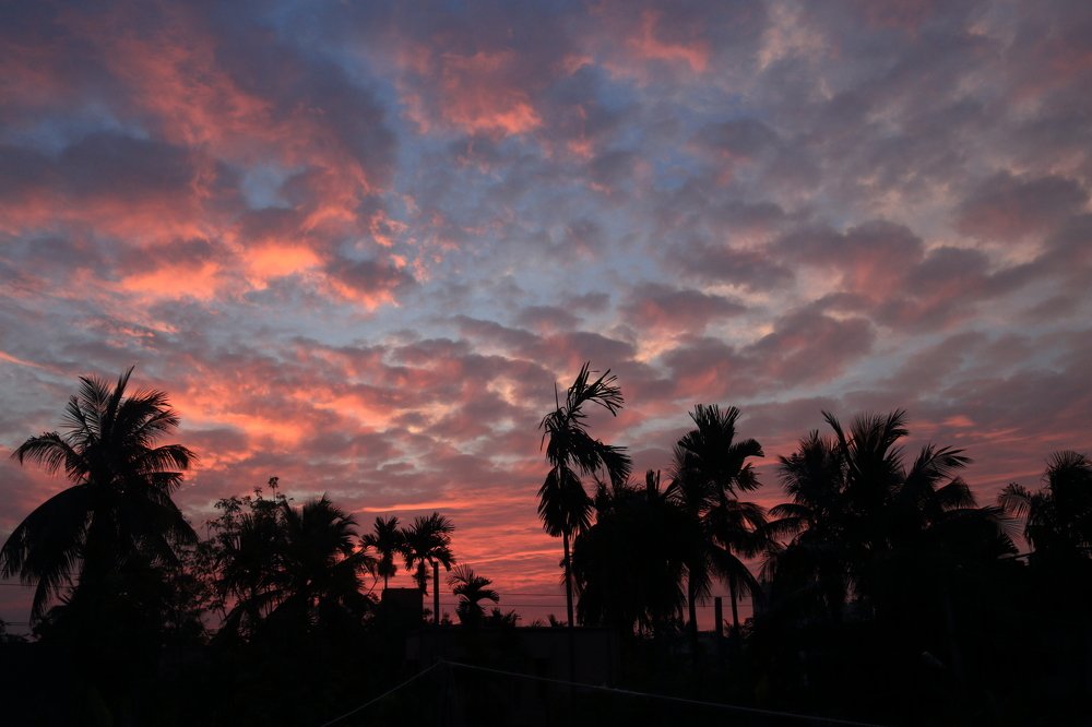 Photograph by DEBYENDU DAS