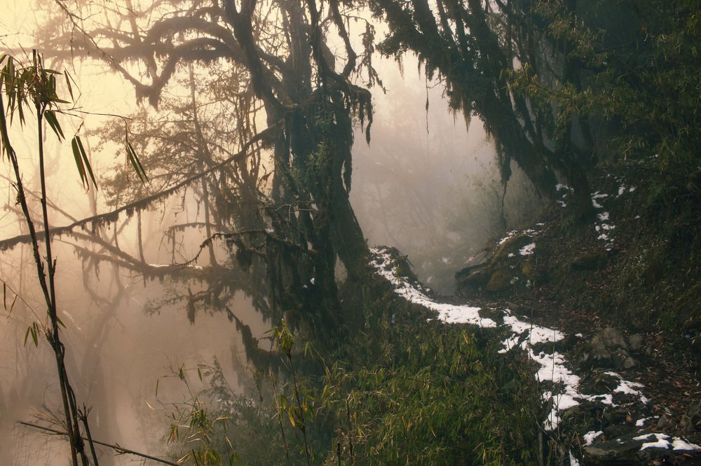 Photograph by Avishek Dangol