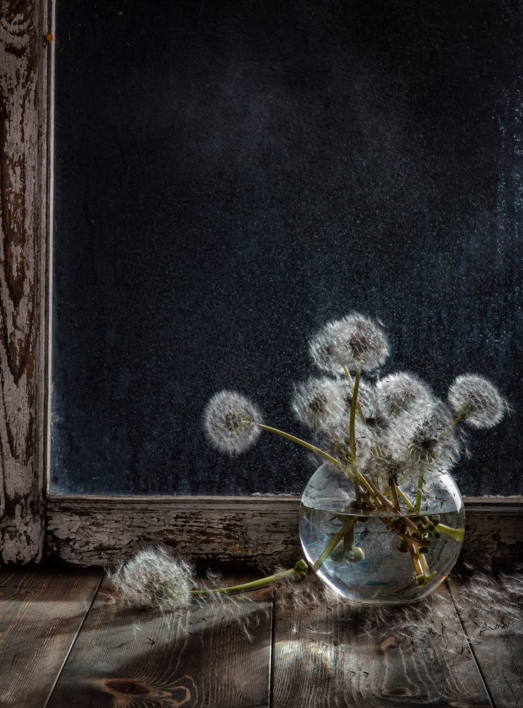 Фотография автора Дмитрий Герц