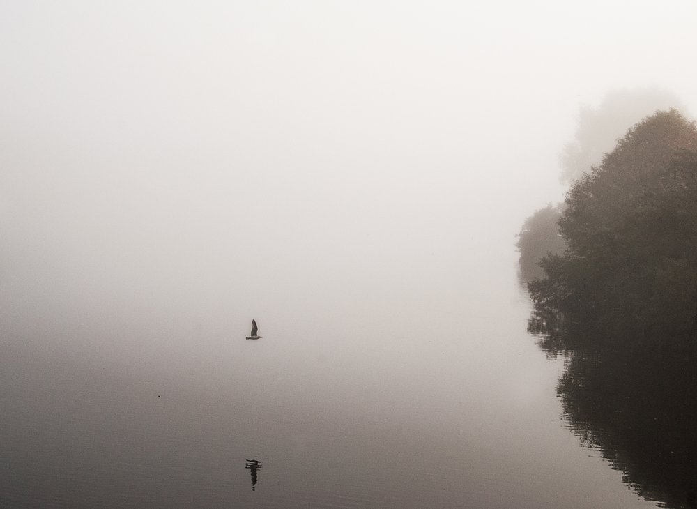 Photograph by Turid Bjørnsen