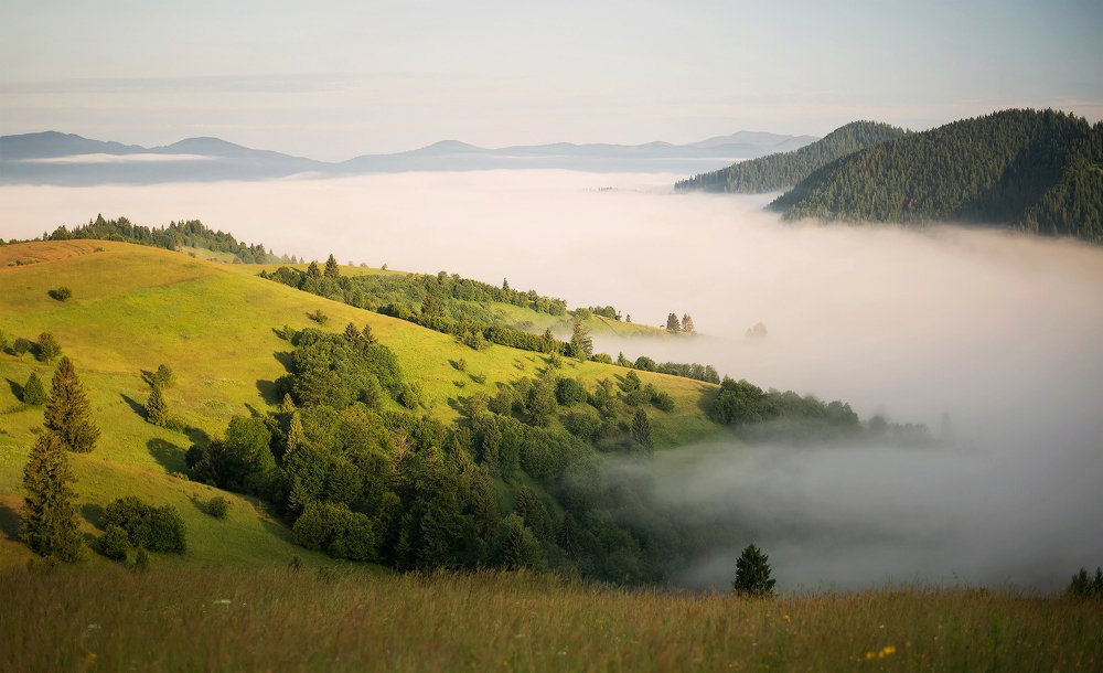 Photograph by Aeromast