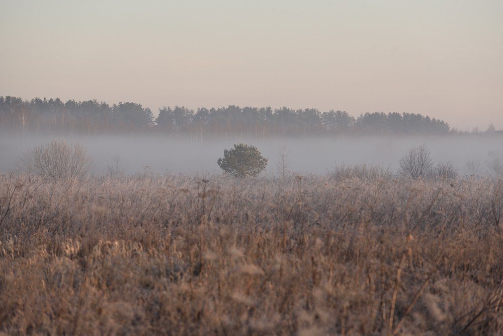 Photograph by Семен Батов