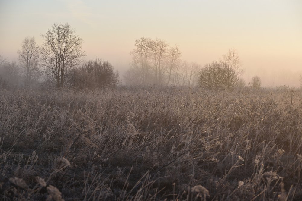 Photograph by Семен Батов