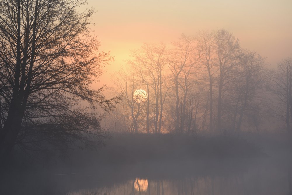 Photograph by Семен Батов