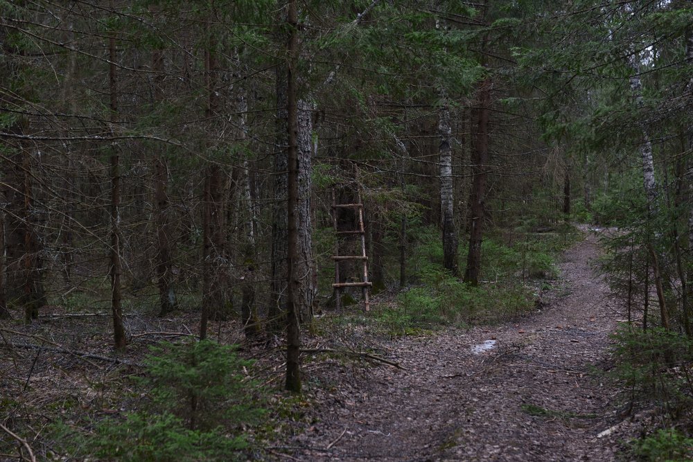 Photograph by Семен Батов