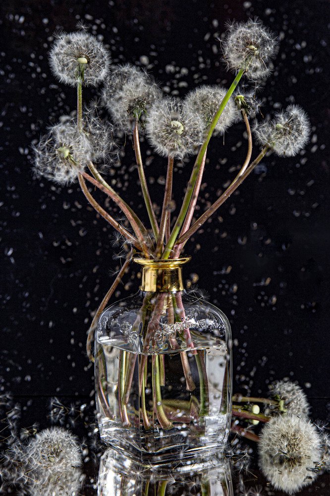 Photograph by Yulia Nikolaeva