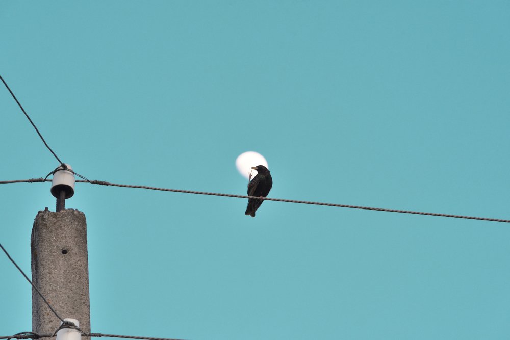 Photograph by Семен Батов