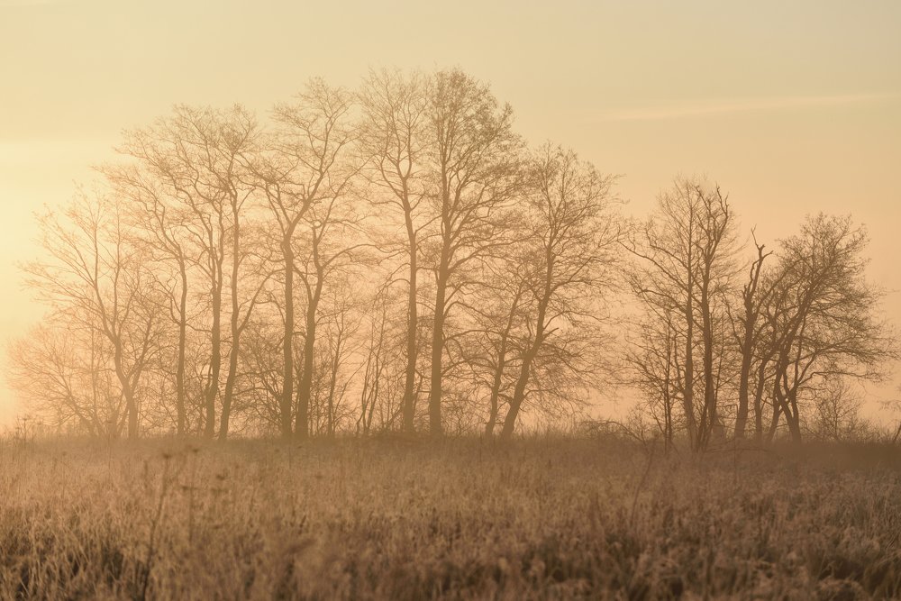 Photograph by Семен Батов