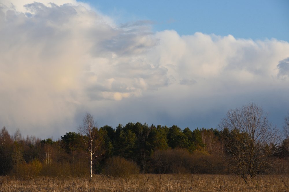 Photograph by Семен Батов