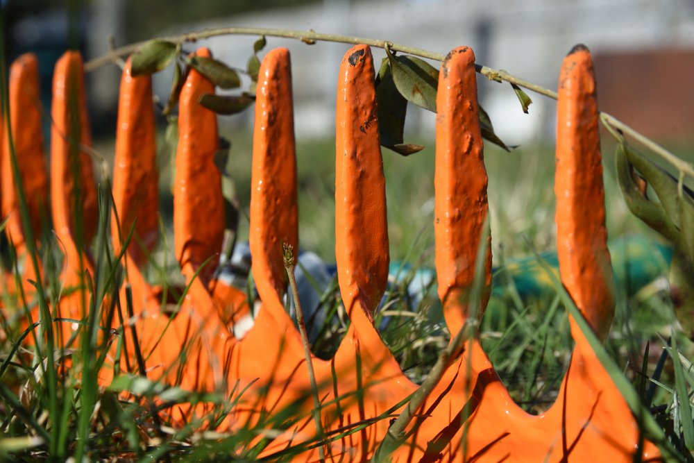 Photograph by Семен Батов