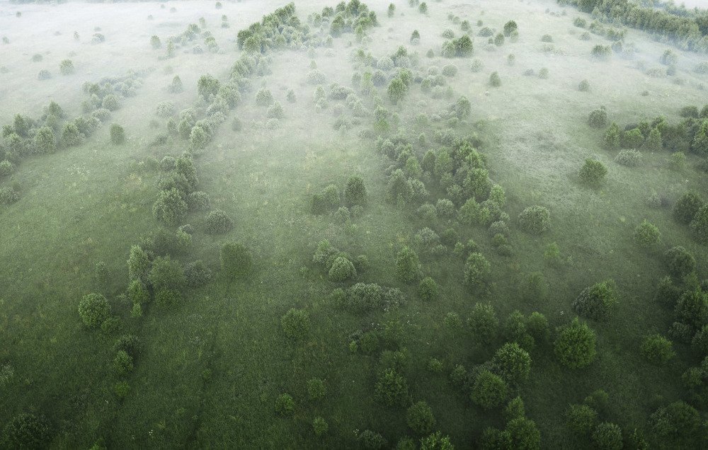 Фотография автора Дмитрий