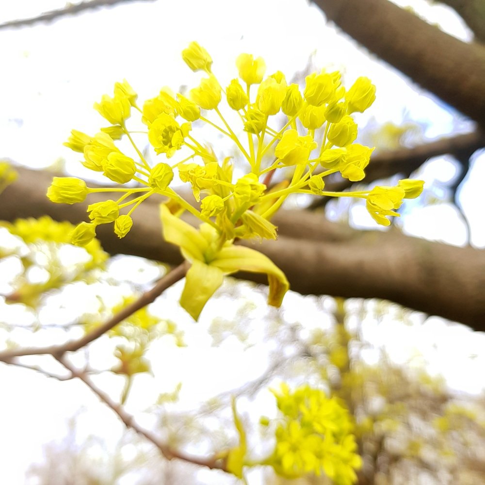 Photograph by Семен Батов