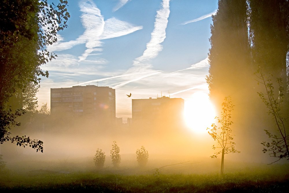 Photograph by Валерий