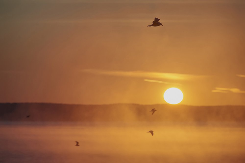 Photograph by Валерий