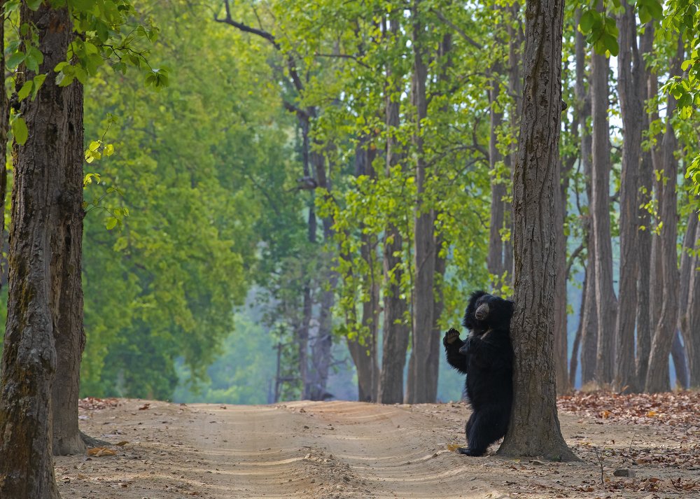 Photograph by Sandip Patil