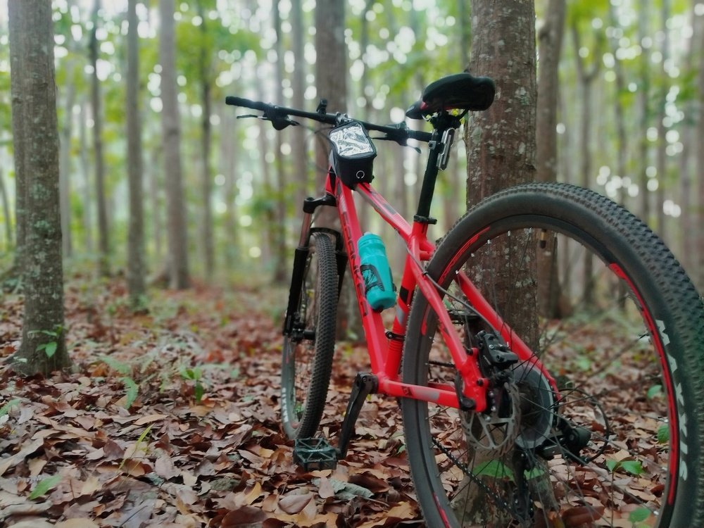 Road Trail Down Hill