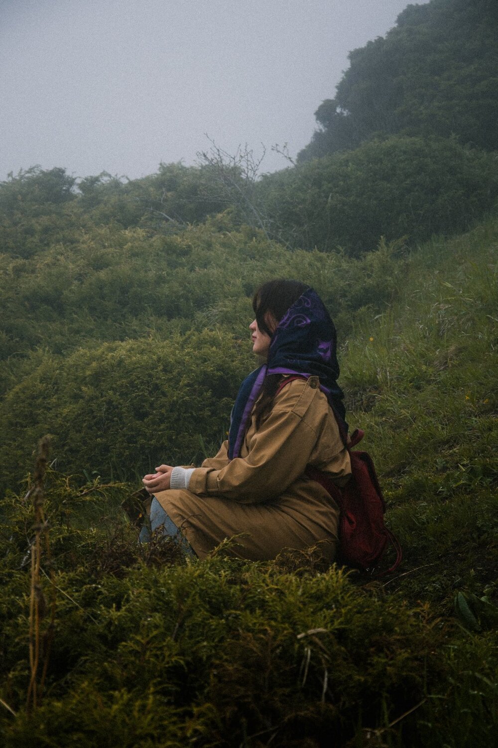 Photo #4645368