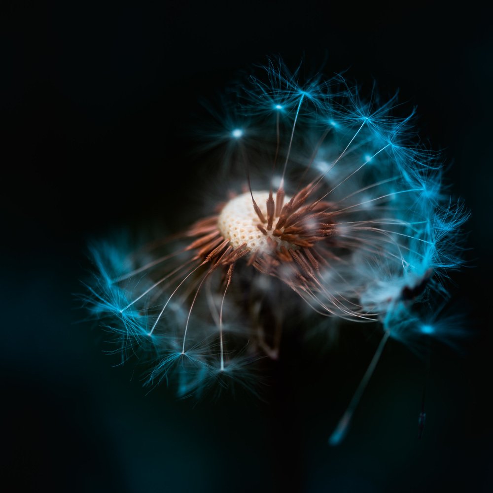 Photograph by Дмитрий Крючков