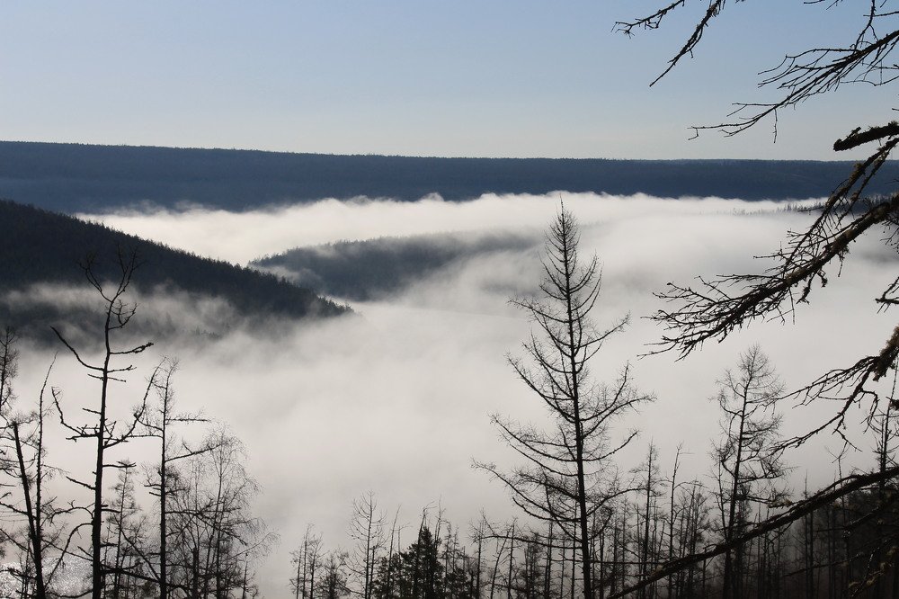 Photograph by Галина Радчук